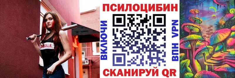 как найти закладки Киселёвск Псилоцибиновые грибы Psilocybine cubensis